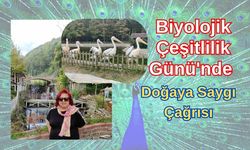 Biyolojik Çeşitlilik Günü'nde Doğaya Saygı Çağrısı