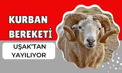 Kurban Bereketi Uşak’tan Yayılıyor