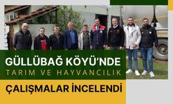 Güllübağ Köyü’nde Tarım ve Hayvancılık Çalışmalar İncelendi