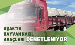 Uşak’ta Hayvan Nakil Araçları Denetleniyor