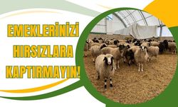 Emeklerinizi Hırsızlara Kaptırmayın!