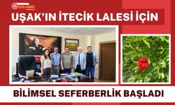 Uşak’ın İtecik Lalesi İçin Bilimsel Seferberlik Başladı