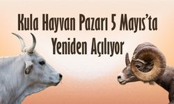 Kula Hayvan Pazarı 5 Mayıs’ta Yeniden Açılıyor