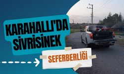 Karahallı'da Sivrisinek Seferberliği