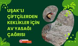 Kırlarda Sessizlik: Uşaklı Çiftçilerden Keklikler İçin Av Yasağı Çağrısı
