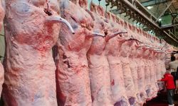 Kırmızı Et Üretiminde Sert Düşüş