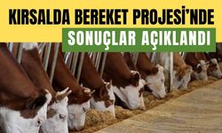 Kırsalda Bereket Projesi’nde Sonuçlar Açıklandı