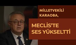 Milletvekili Karaoba, Meclis’te Ses Yükseltti