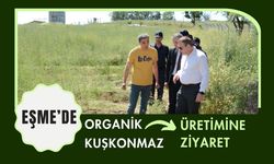 Eşme’de Organik Kuşkonmaz Üretimine Ziyaret