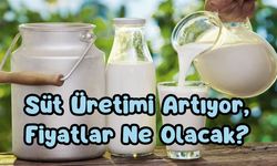 Süt Üretimi Artıyor, Fiyatlar Ne Olacak?