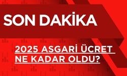 2025 Asgari Ücret Ne Kadar Oldu?