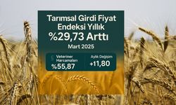 Tarımsal Girdi Fiyat Endeksi Yükselişte
