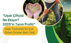 “Uşak Çiftçisi Ne Ekiyor? 2025’in Tarım Profili”