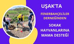 Uşak Fenerbahçeliler Derneği’nden Sokak Hayvanlarına Anlamlı Destek