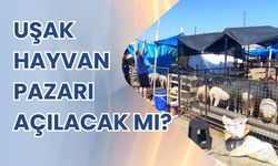 Uşak Hayvan Pazarı Açılacak Mı?