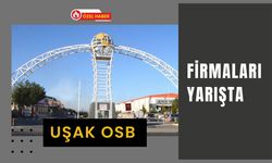 Uşak OSB Firmaları Yarışta