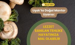 Uşak’ta Doğal Mantar Uyarısı: Lezzet Sanılan Tehlike Hayatınıza Mal Olabilir