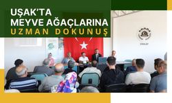 Uşak’ta Meyve Ağaçlarına Uzman Dokunuş