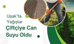 Uşak’ta Yağışlar Çiftçiye Can Suyu Oldu