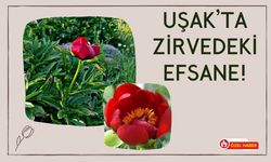 UŞAK’TA ZİRVEDEKİ EFSANE!