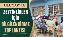 Ulucak’ta Zeytinlikler İçin Bilgilendirme Toplantısı