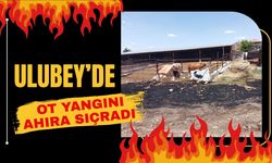 Ulubey’de Ot Yangını Ahıra Sıçradı