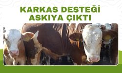 Karkas Desteği Askıya Çıktı