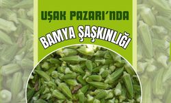 Uşak Pazarı’nda Bamya Şaşkınlığı