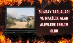 Buğday Tarlaları ve Makilik Alan Alevlere Teslim Oldu