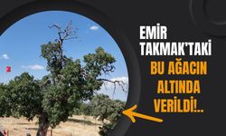 Emir Takmak’taki Bu Ağacın Altında Verildi!..
