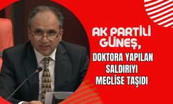 AK Partili Güneş, Doktora Yapılan Saldırıyı Meclise Taşıdı