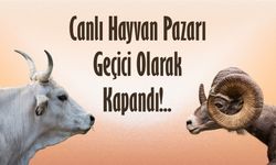 Canlı Hayvan Pazarı Geçici Olarak Kapandı