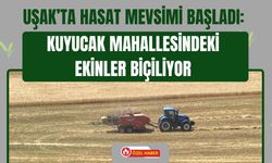 Uşak’ta Hasat Mevsimi Başladı: Kuyucak Mahallesindeki Ekinler Biçiliyor