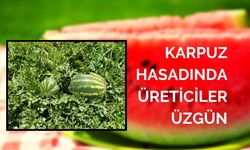SALİHLİ POYRAZDAMLARI KARPUZU HASADINDA ÜRETİCİLER ÜZGÜN