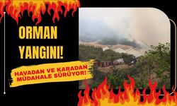 Orman Yangını! Havadan ve Karadan Müdahale Sürüyor!