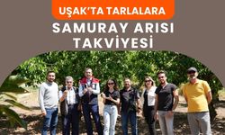 Uşak’ta Tarlalara Samuray Arısı Takviyesi