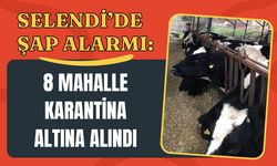 Selendi’de Şap Alarmı: 8 Mahalle Karantina Altına Alındı
