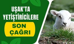 Uşak'ta Yetiştiricilere Son Çağrı