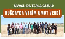 Sivaslı’da Tarla Günü: Buğdayda Verim Umut Verdi