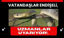 Vatandaşlar Endişeli, Uzmanlar Uyarıyor