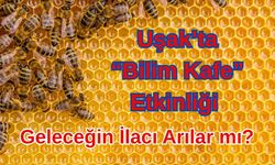 Uşak’ta “Bilim Kafe” Etkinliği: Geleceğin İlacı Arılar mı?