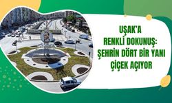 Uşak’a Renkli Dokunuş: Şehrin Dört Bir Yanı Çiçek Açıyor