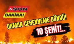 ORMAN CEHENNEME DÖNDÜ: 10 ŞEHİT!..