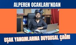 Alperen Ocakları'ndan Uşak Yangınlarına Duygusal Çağrı