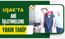 Uşak’ta Ari İşletmelere Yakın Takip