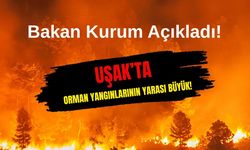 UŞAK’TA ORMAN YANGINLARININ YARASI BÜYÜK!