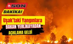 Uşak’taki Yangınlara Yerlikaya’dan Açıklama Geldi