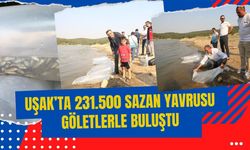 Uşak’ta 231.500 Sazan Yavrusu Göletlerle Buluştu