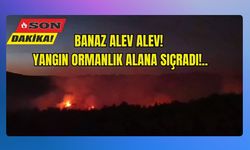 Banaz Alev Alev! Yangın Ormanlık Alana Sıçradı!..