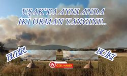Uşak Banaz Büyükoturak Alev Alev! Yangın Rüzgarla İlerliyor!